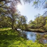 Hidden Falls Regional Park