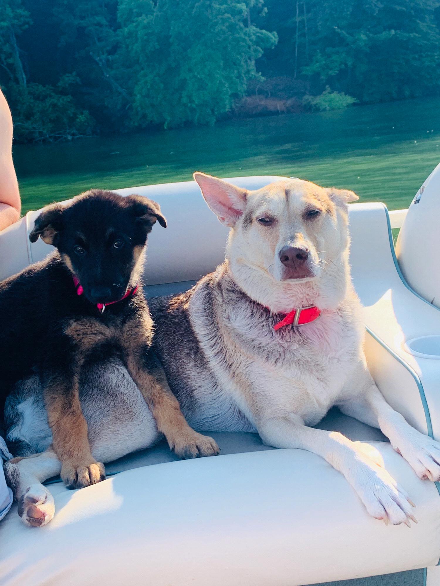 Ellie and Callie on the Boat