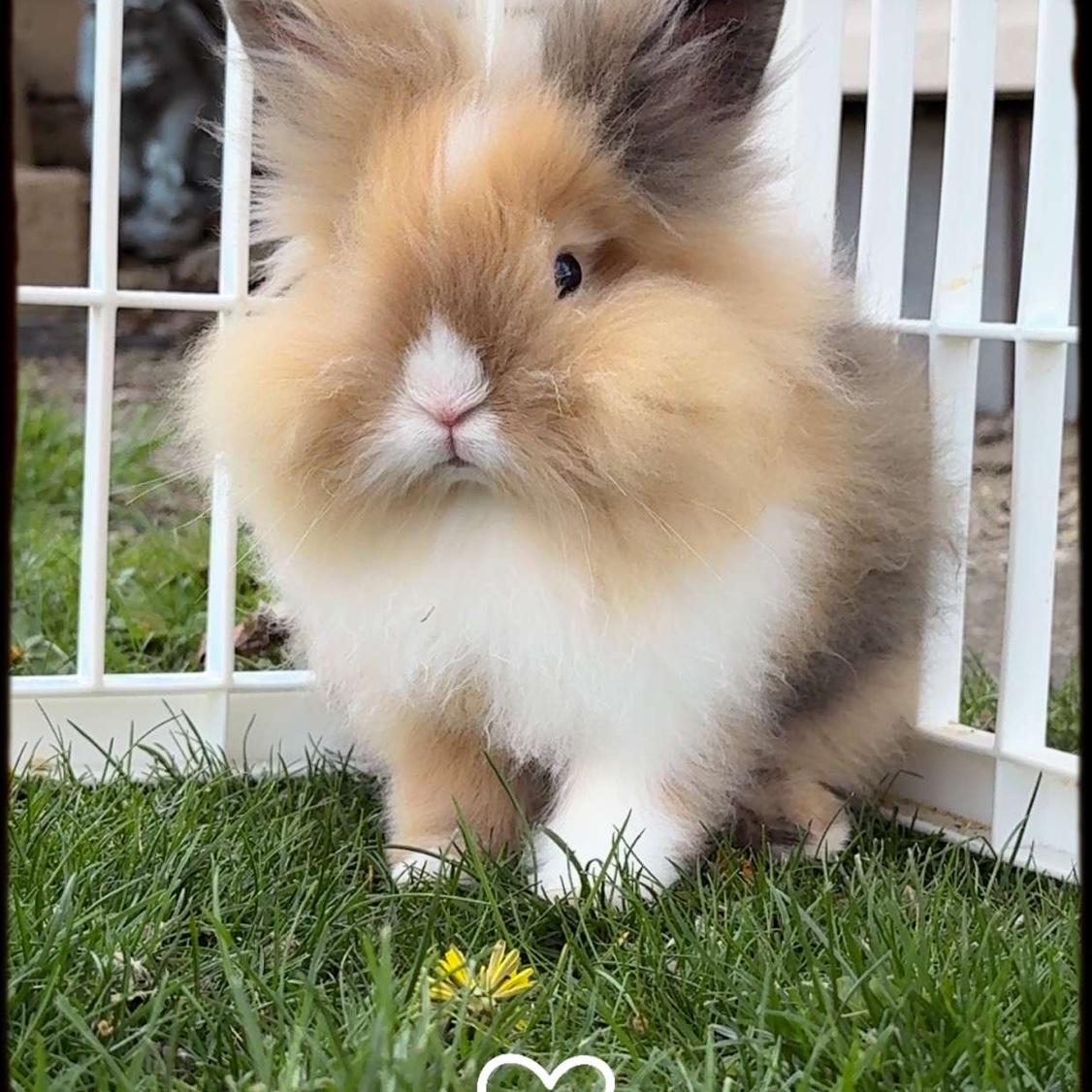 Our baby boy!! ❤️