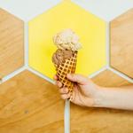 Melt Ice Creams