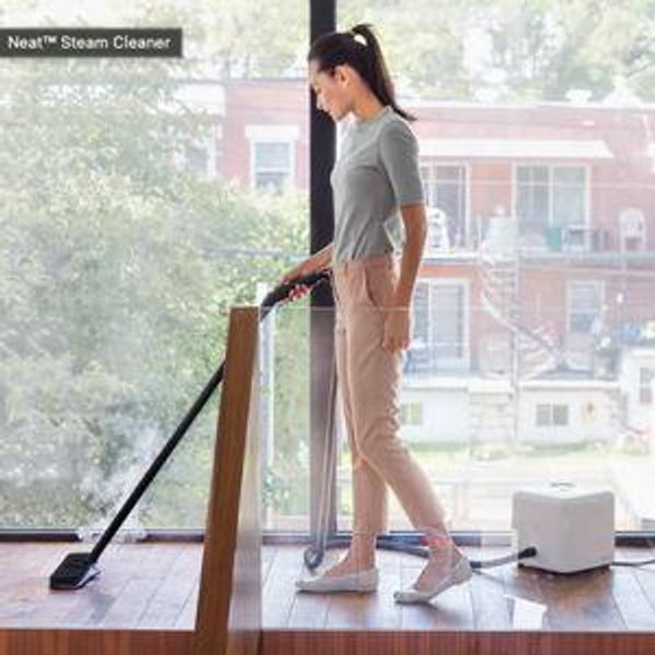 Dupray Neat™ Steam Cleaner