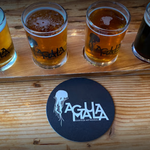 🍺 Microbrewery Aguamala