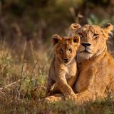 Kruger National Park