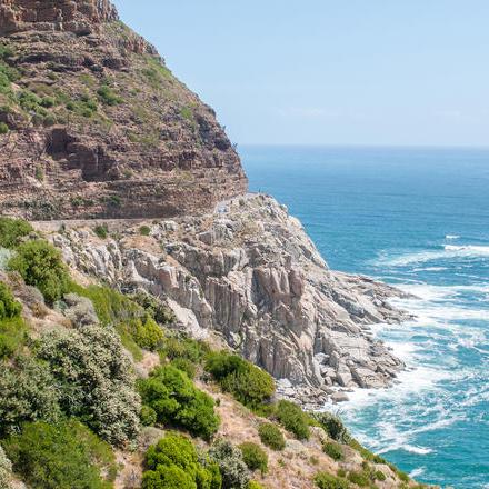 Full Day Tour on The Cape Peninsula
