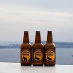 Breweries & Local Beer