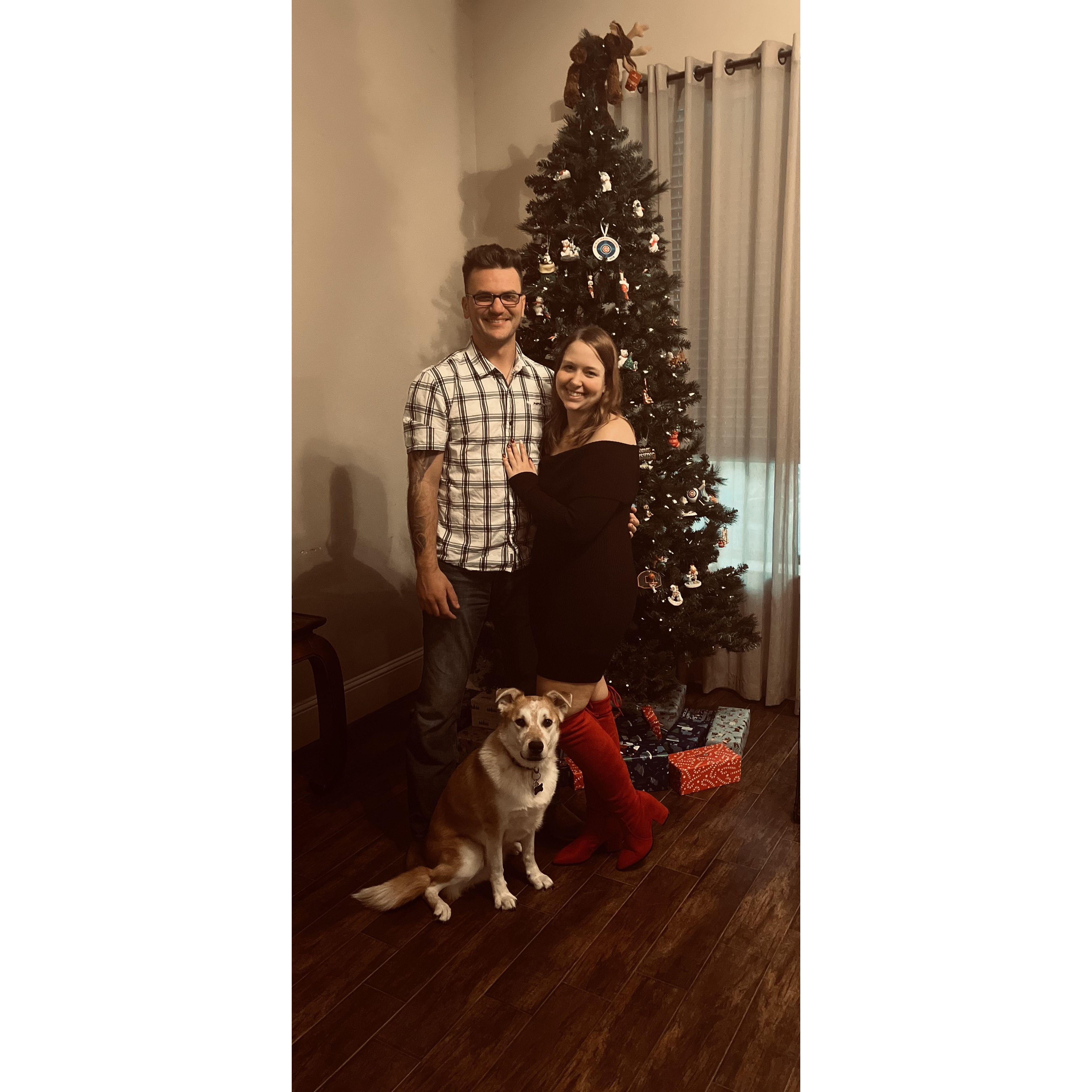 Christmas 2024 with our fur baby Ryno!