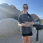 Jumbo Rocks Campground