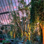 Cleveland Botanical Garden