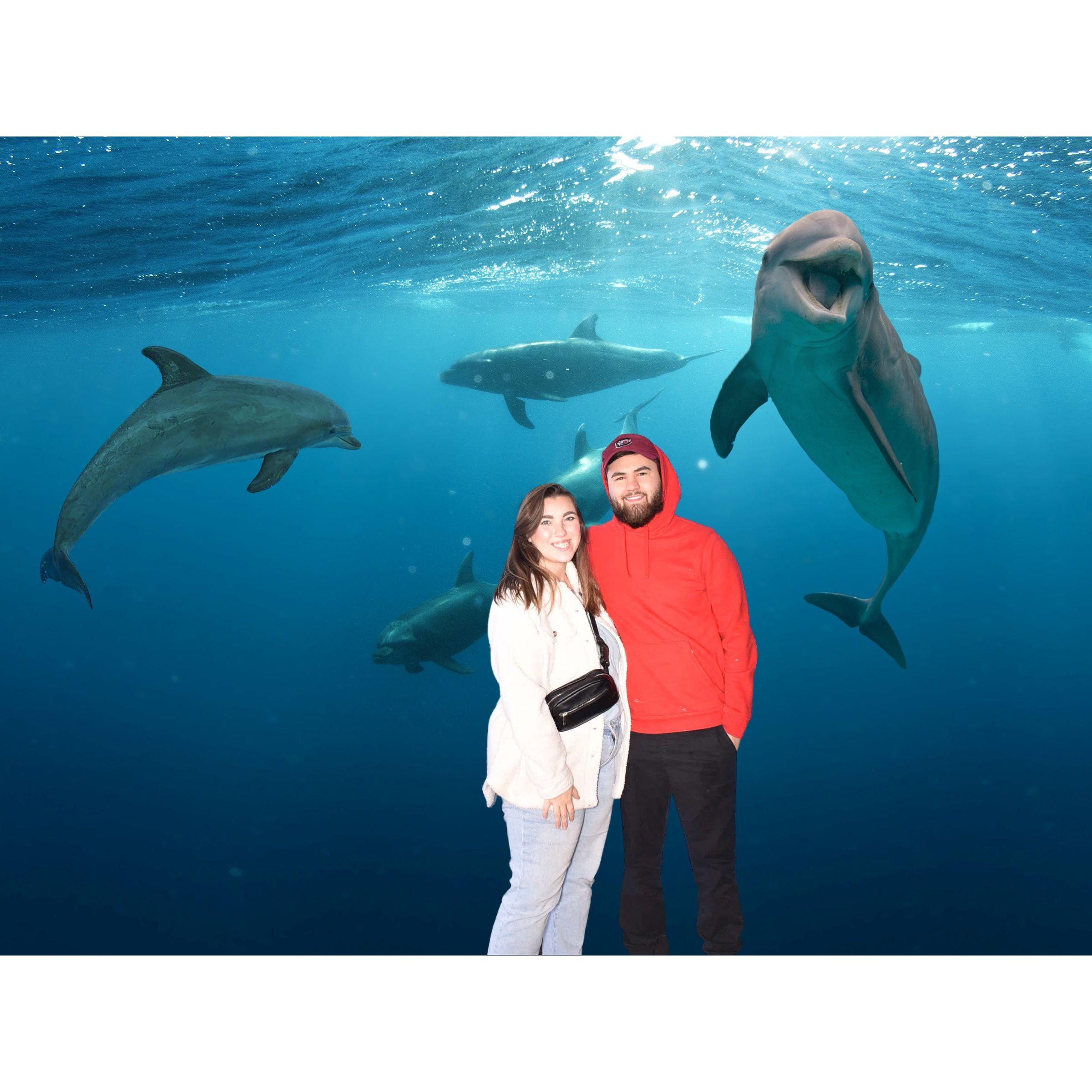 Georgia Aquarium