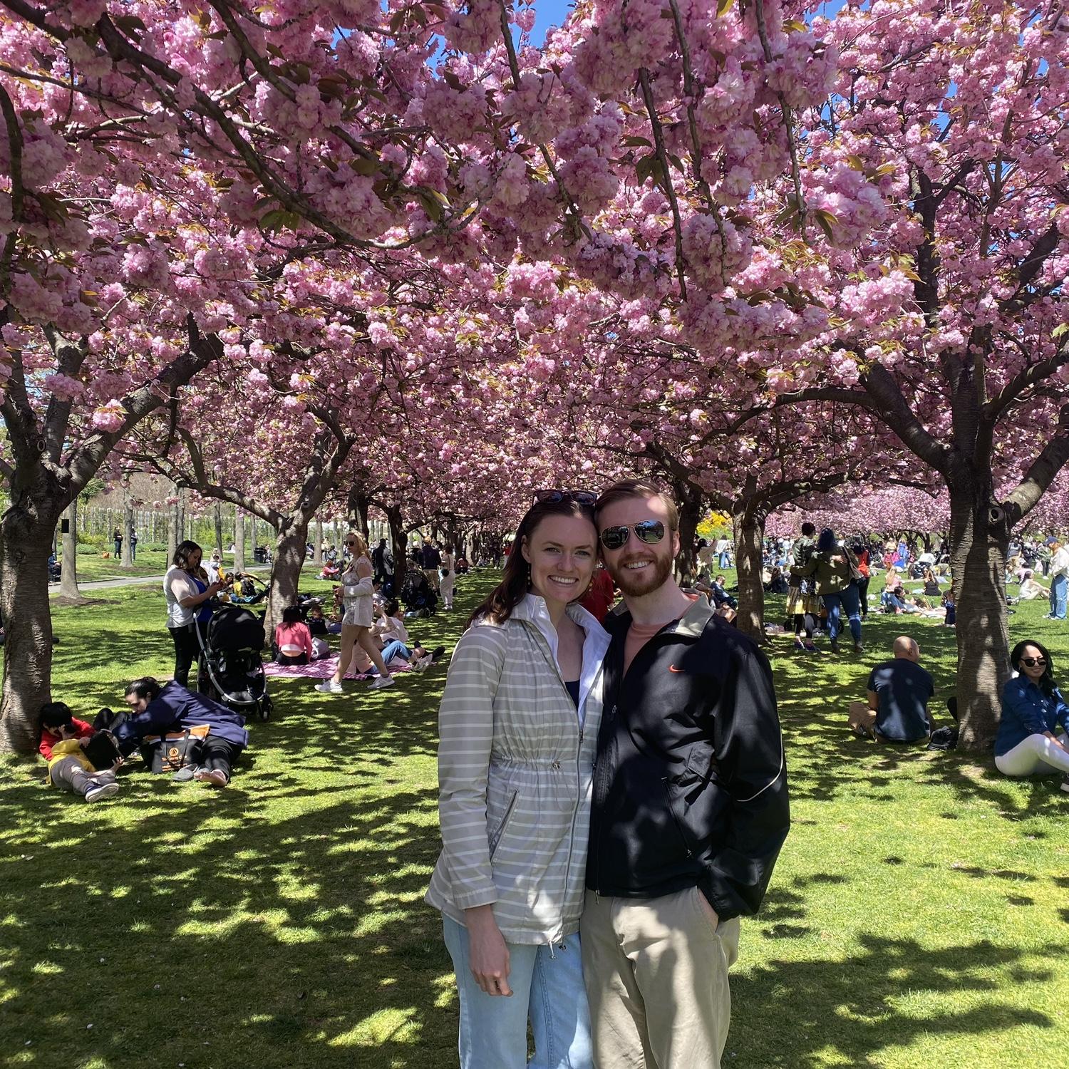 Brooklyn Botanical Gardens