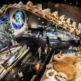 Perot Museum of Nature and Science