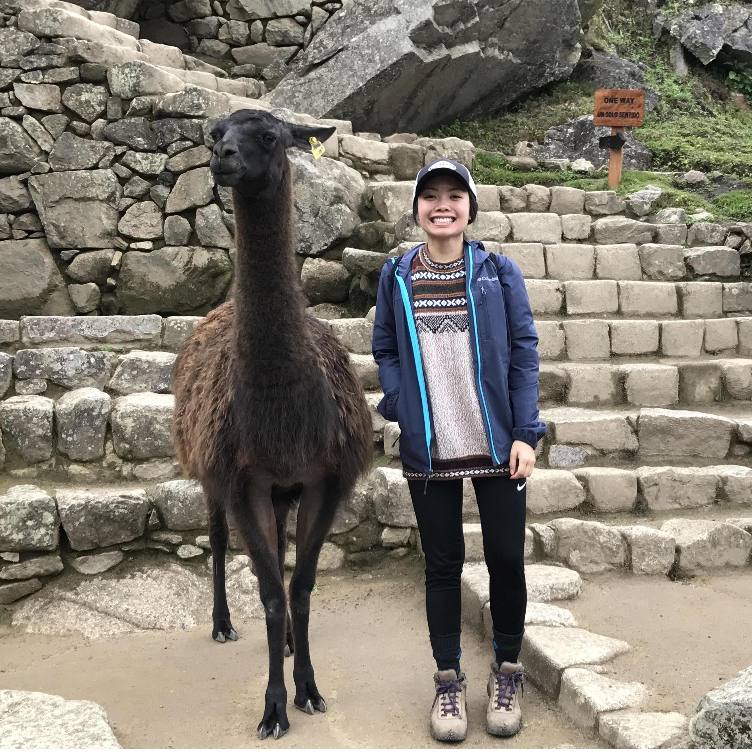 Helen's favorite animal