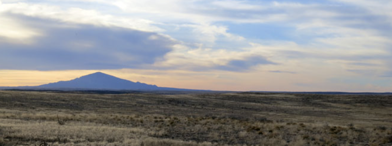 The Wedding Website of Sienna Fleming and Scott Taylor