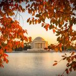 Washington, DC