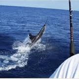 Sport Fishing