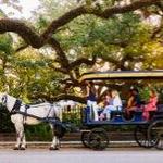 Horse & Carriage Tour