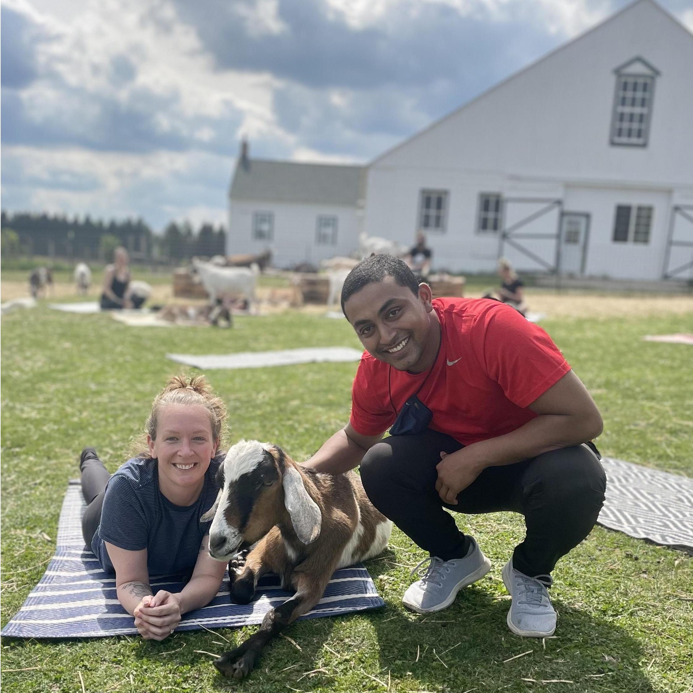 Goat yoga!