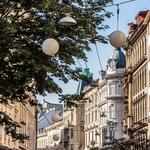 Walk around the 7th District