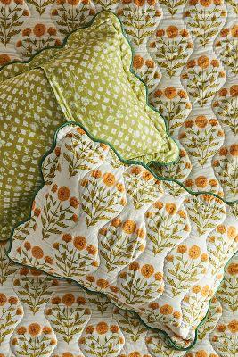 Iluka Shams, Set of 2