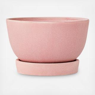 Ceramic Flower Pot with Saucer