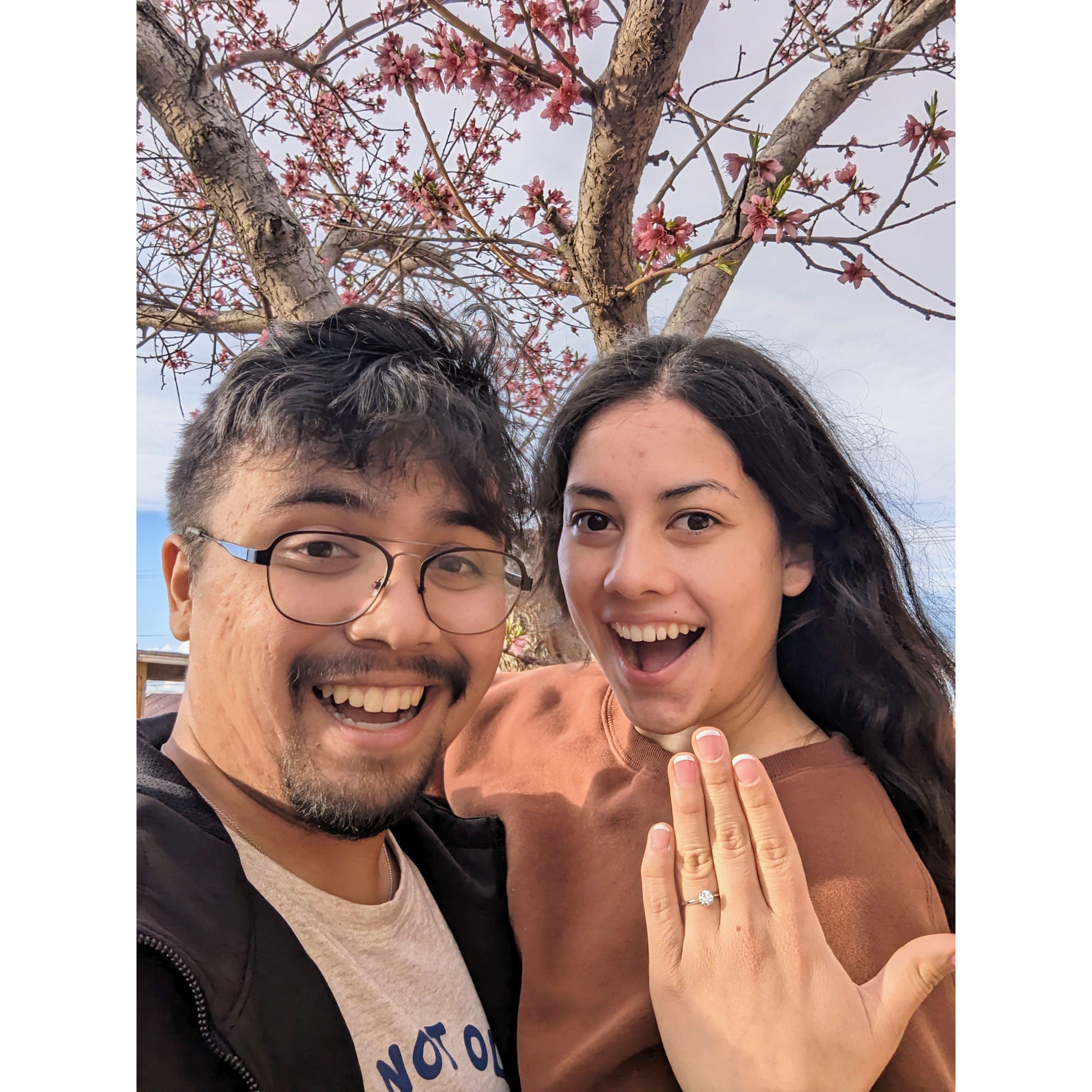 The day when James proposed (03/23/2024)