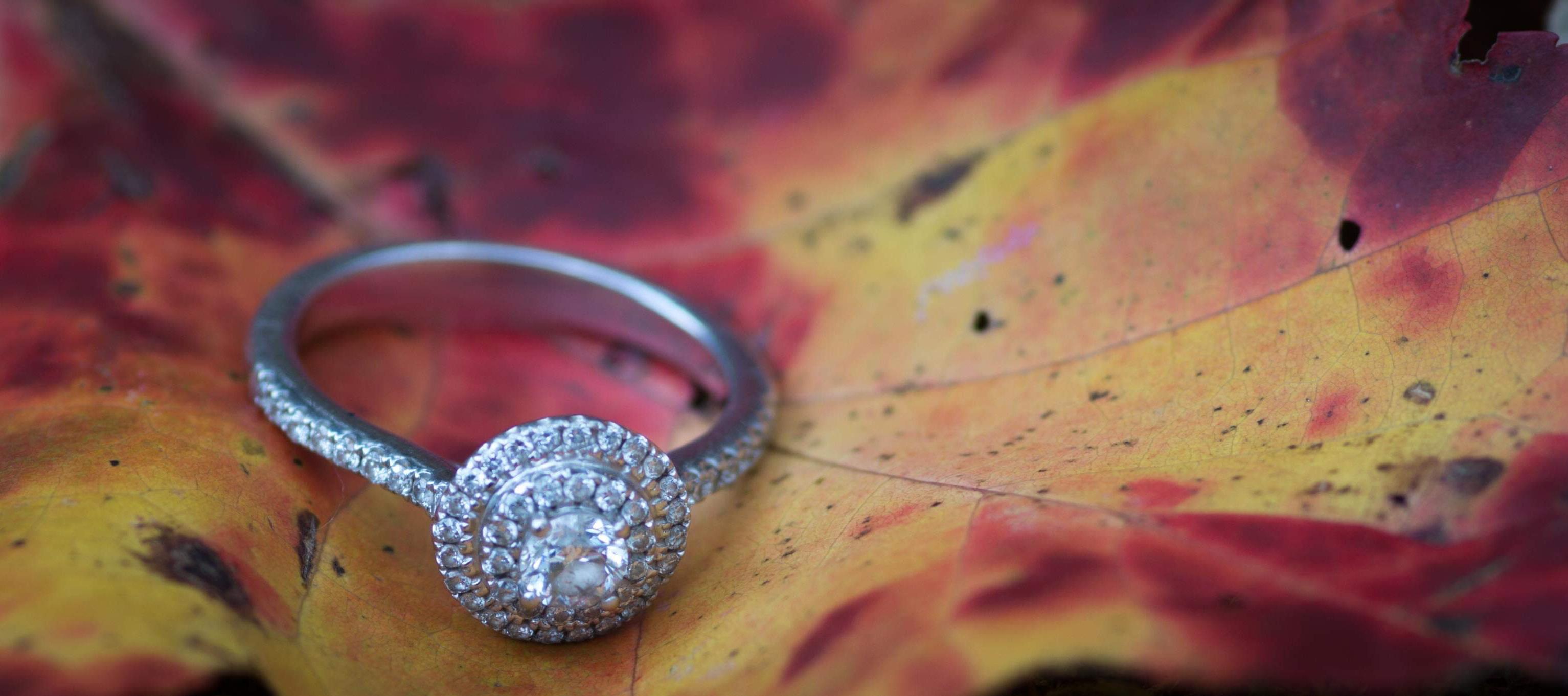 The Wedding Website of Alexandrea Ledbetter and Gerardo Rueda