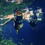 XENOTES