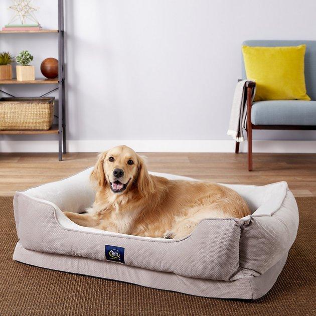 Serta Orthopedic Cuddler Dog Bed