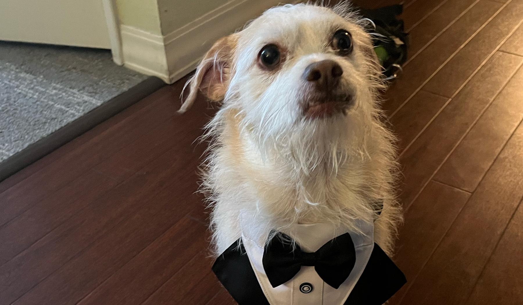 The Wedding Website of Sarah Hamil and Jeff Foreman