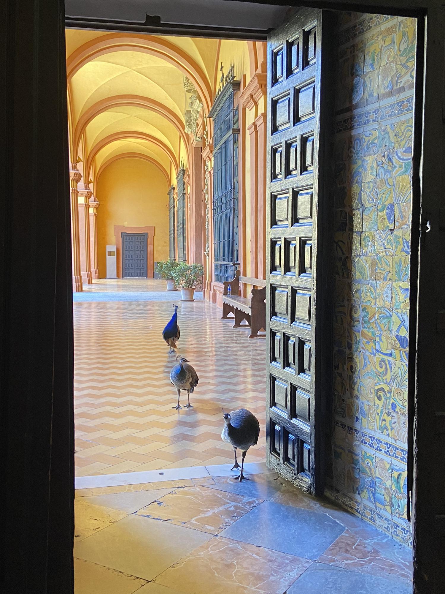 Royal Alcazar, Sevilla