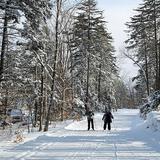 Mountain Top Resort