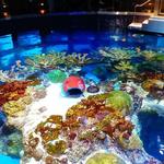 New England Aquarium