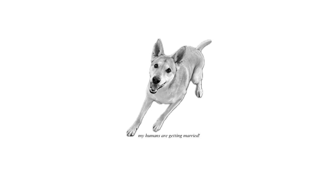 Footer image