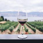Small Group Wine Tasting Experience in Tuscan Countryside