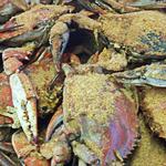 The Surfing Crab Restaurant and Bar