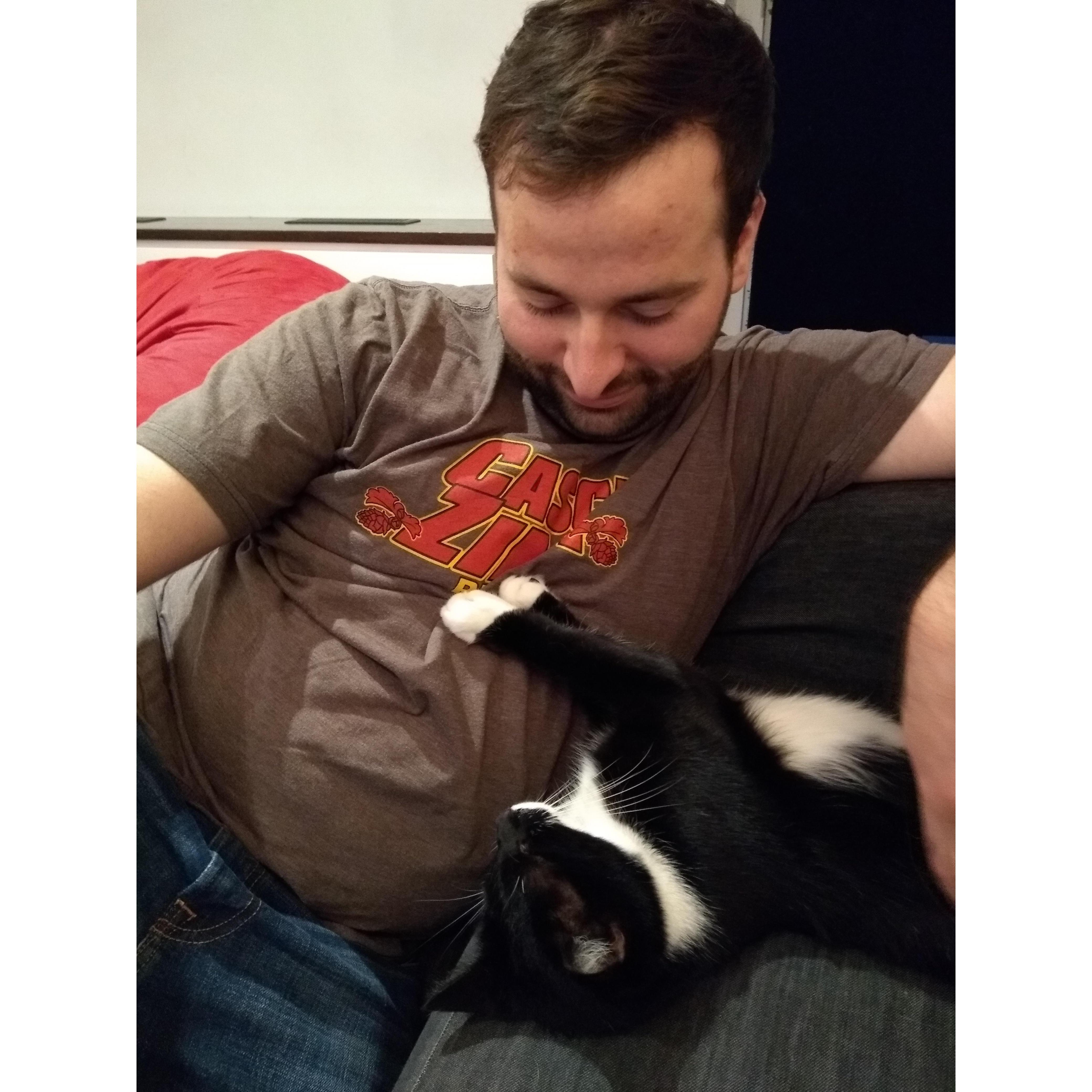 This little tuxedo cat helped Alex and Caroline get engaged