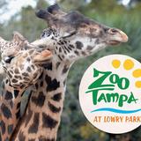 Zoo Tampa