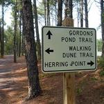 Gordons Pond Trail