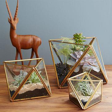 Faceted Terrarium Large