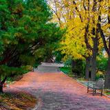 Idaho Botanical Garden