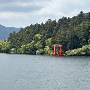 Japan 3.0 Honeymoon Fund