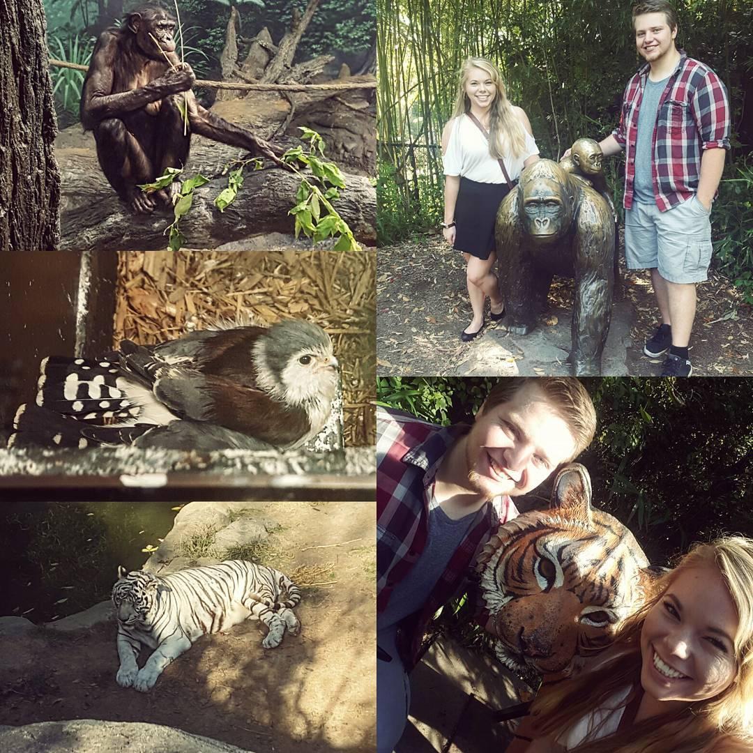 Cincinnati Zoo - Cincinnati, OH - 2016