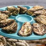 DK Connemara Oysters