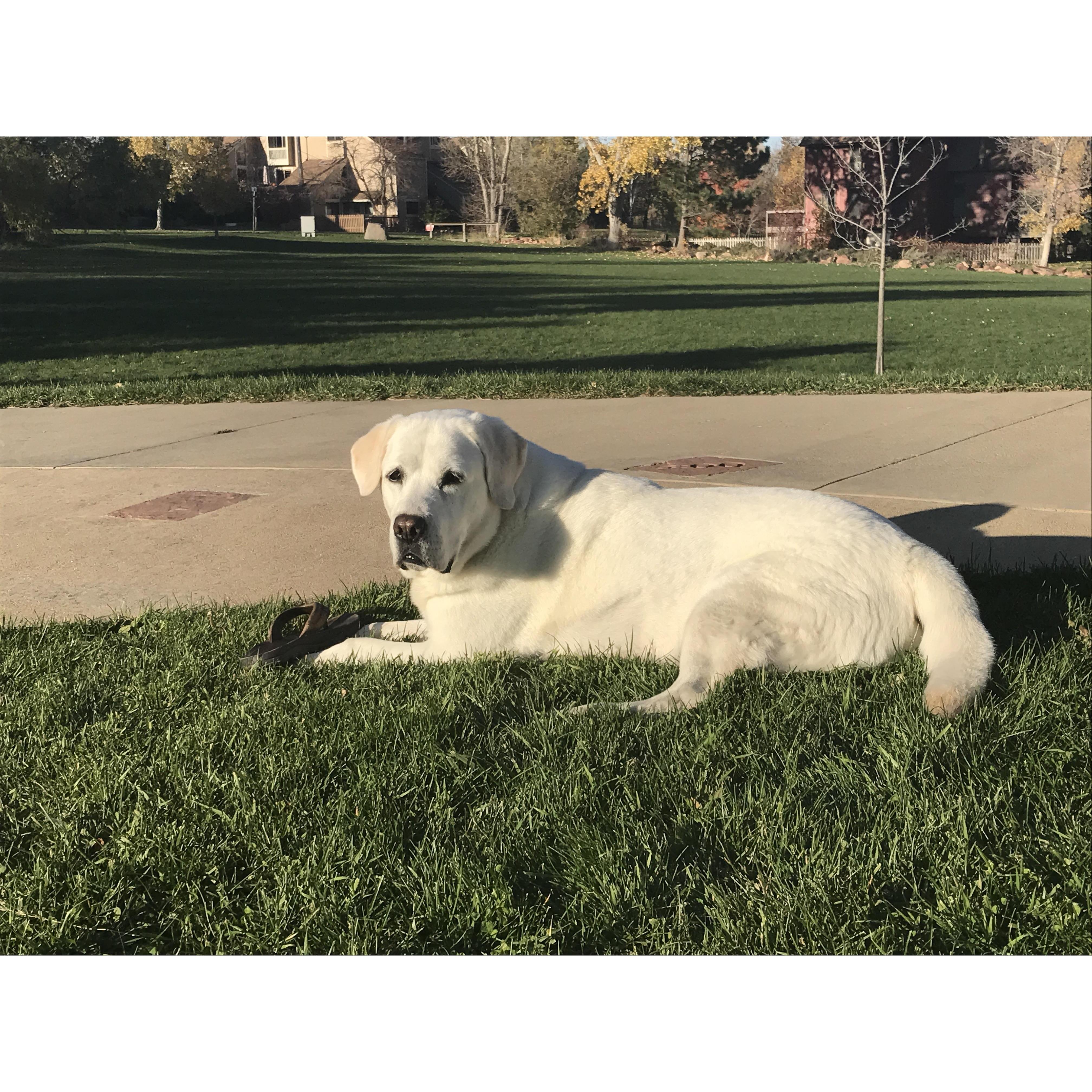 Barrett's BFF, Elliott