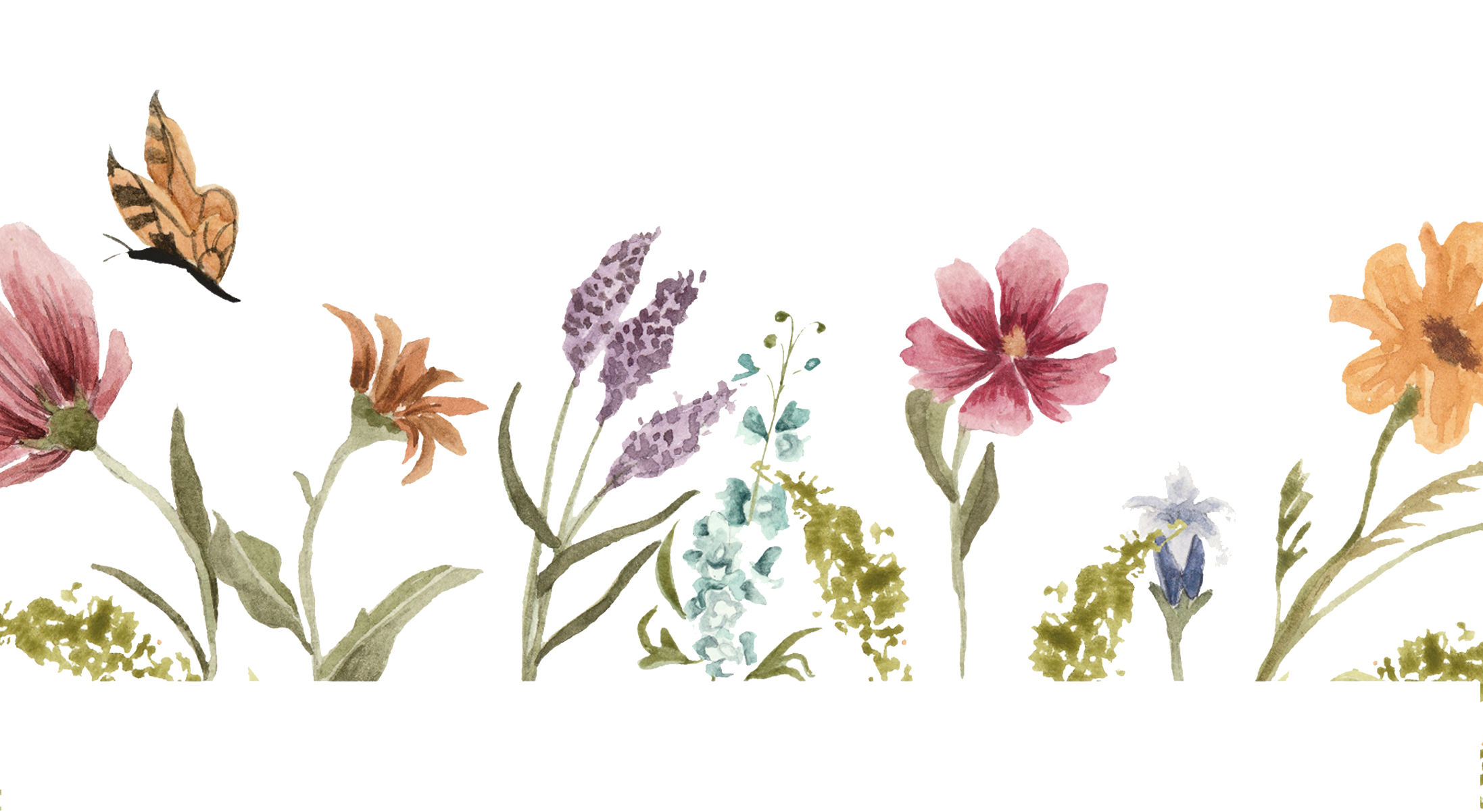 Footer image