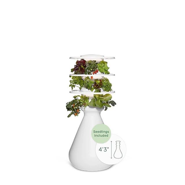 Lettuce Grow Farmstand Starter Kit with Glow Rings and Seedlings Included | 18 Plant Hydroponic Growing System Kit | Vertical Garden Planter Tower with 18 Pre-Grown Plants | 4ft 3in Tall