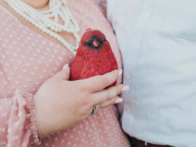 The Wedding Website of Madelyn Danielle Cossitt and Kevin James Case