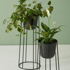 Griffard Plant Stand Set