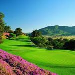 Golf at Pala Mesa Resort