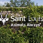 Saint Louis Zoo